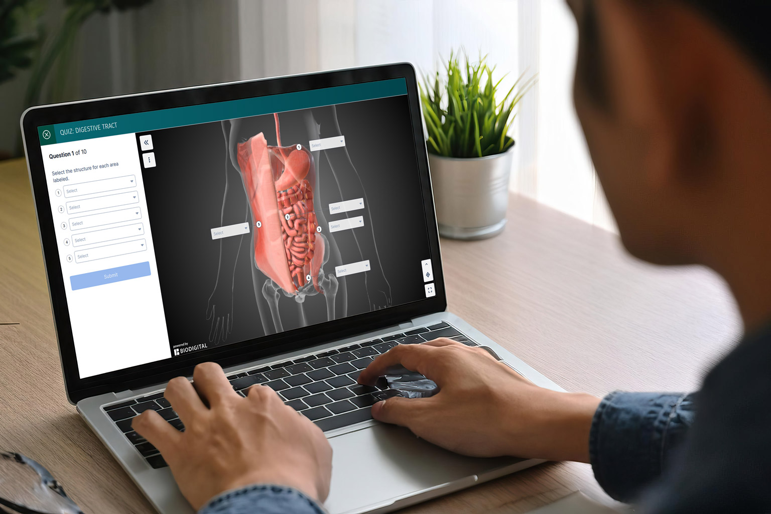 Student taking interactive anatomy quiz through Lippincott Connect