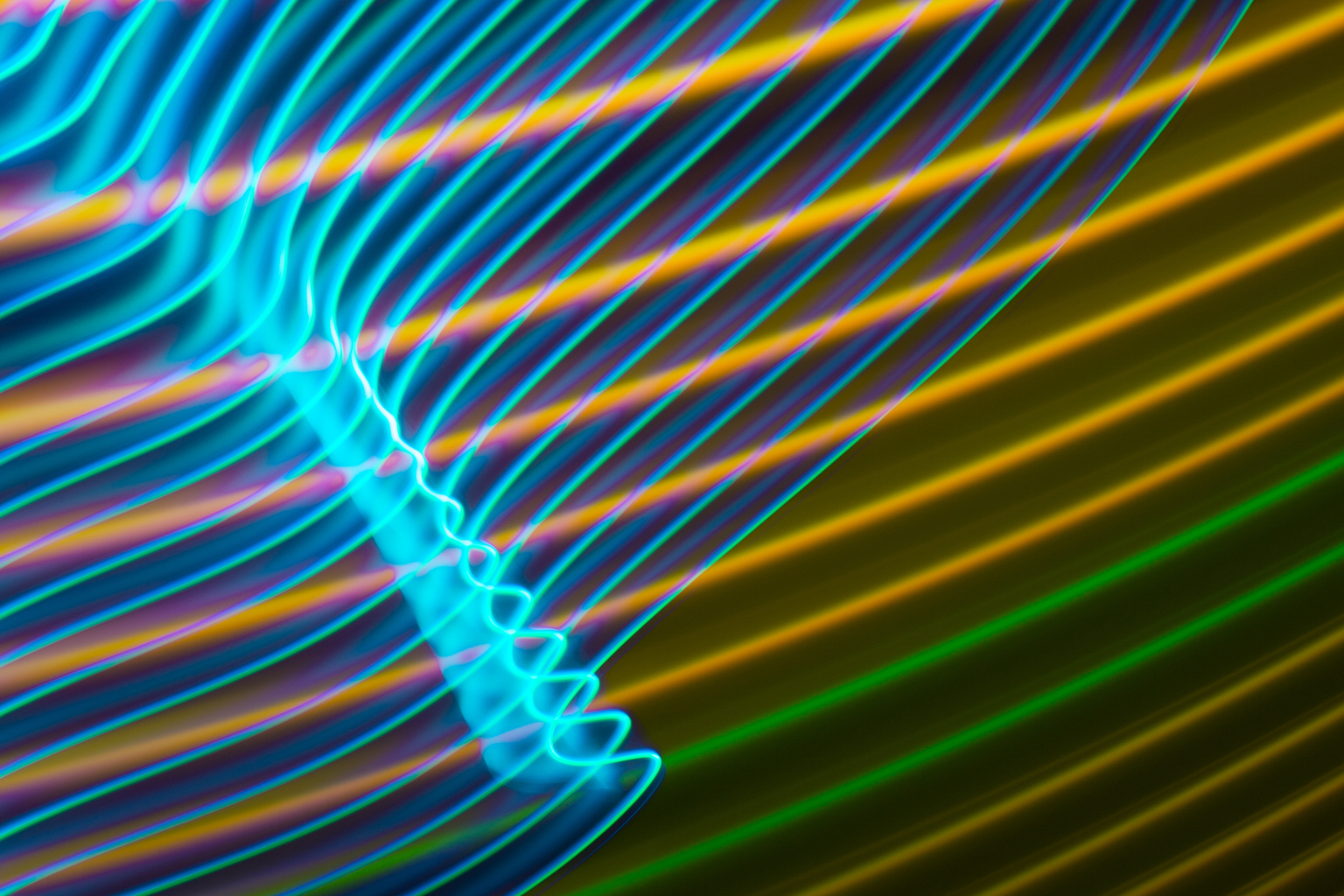 X-ray of the ribs. Lines structure in 3D.