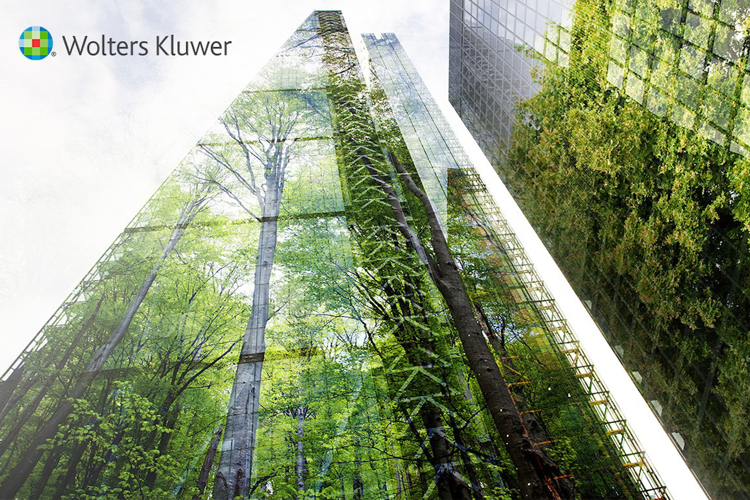 Climate transition planning: the key to setting and meeting sustainability targets 